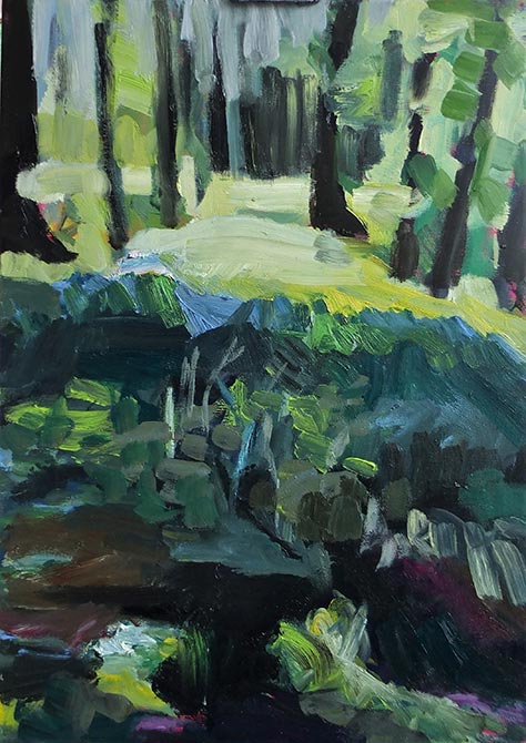 Duvenstedter Brook, Unterholz