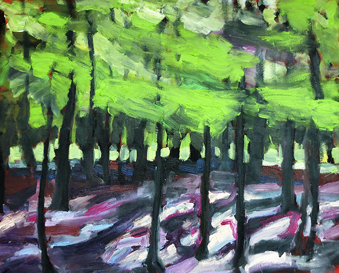 Duvenstedter Brook, Durchblick