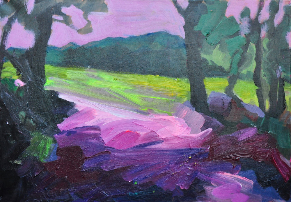 Duvenstedter Brook VI