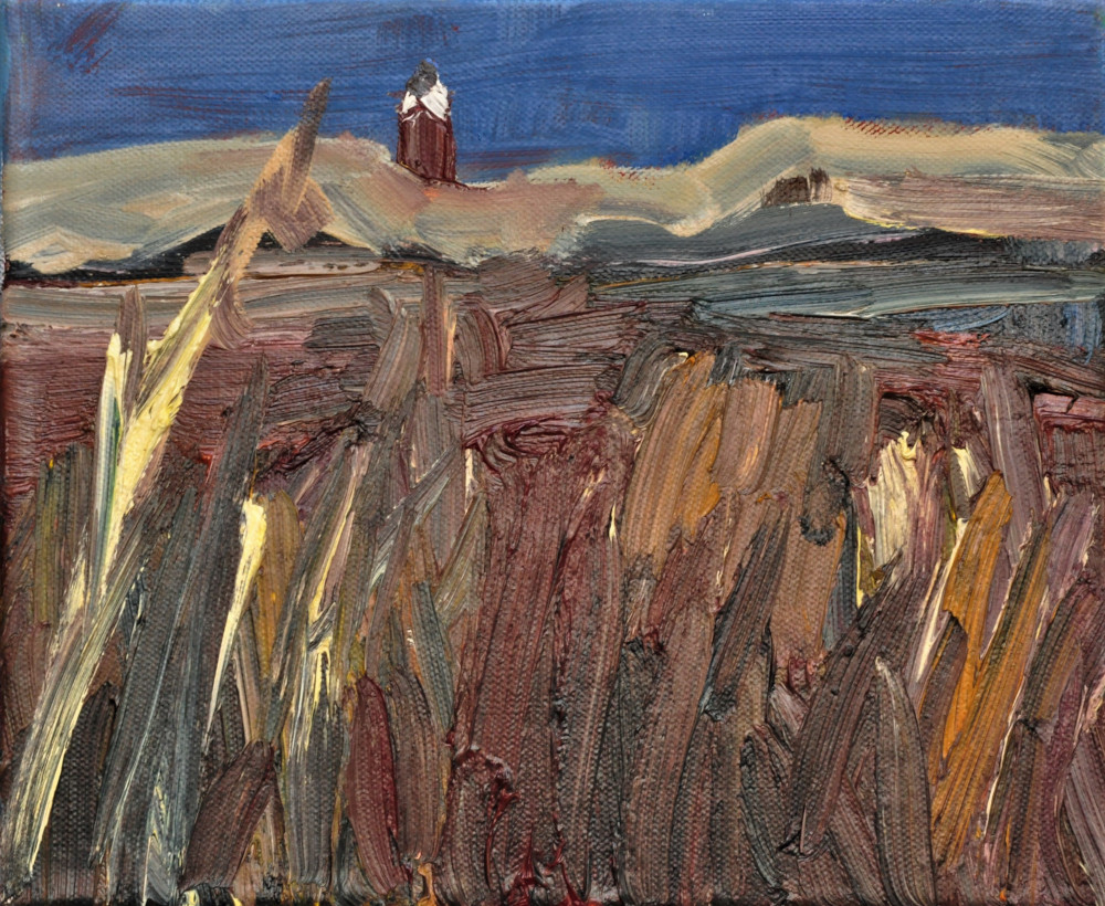 Dünen und Leuchturm