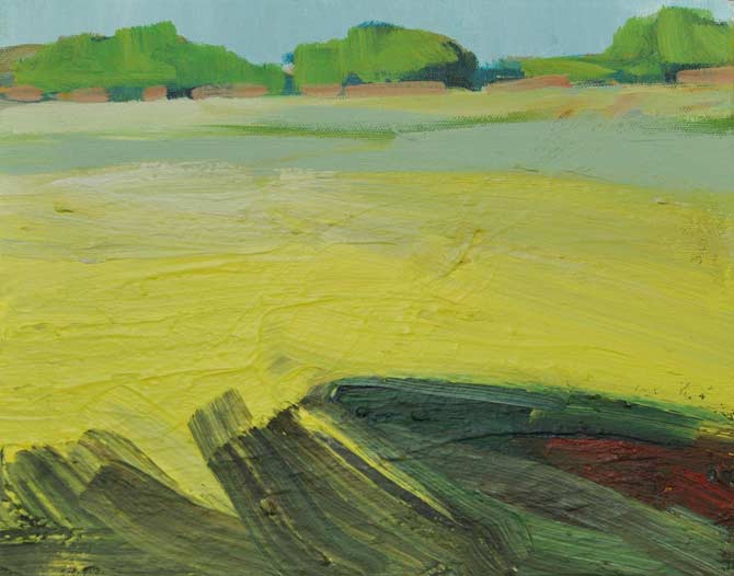 Gelbe Wiese mit Schatten