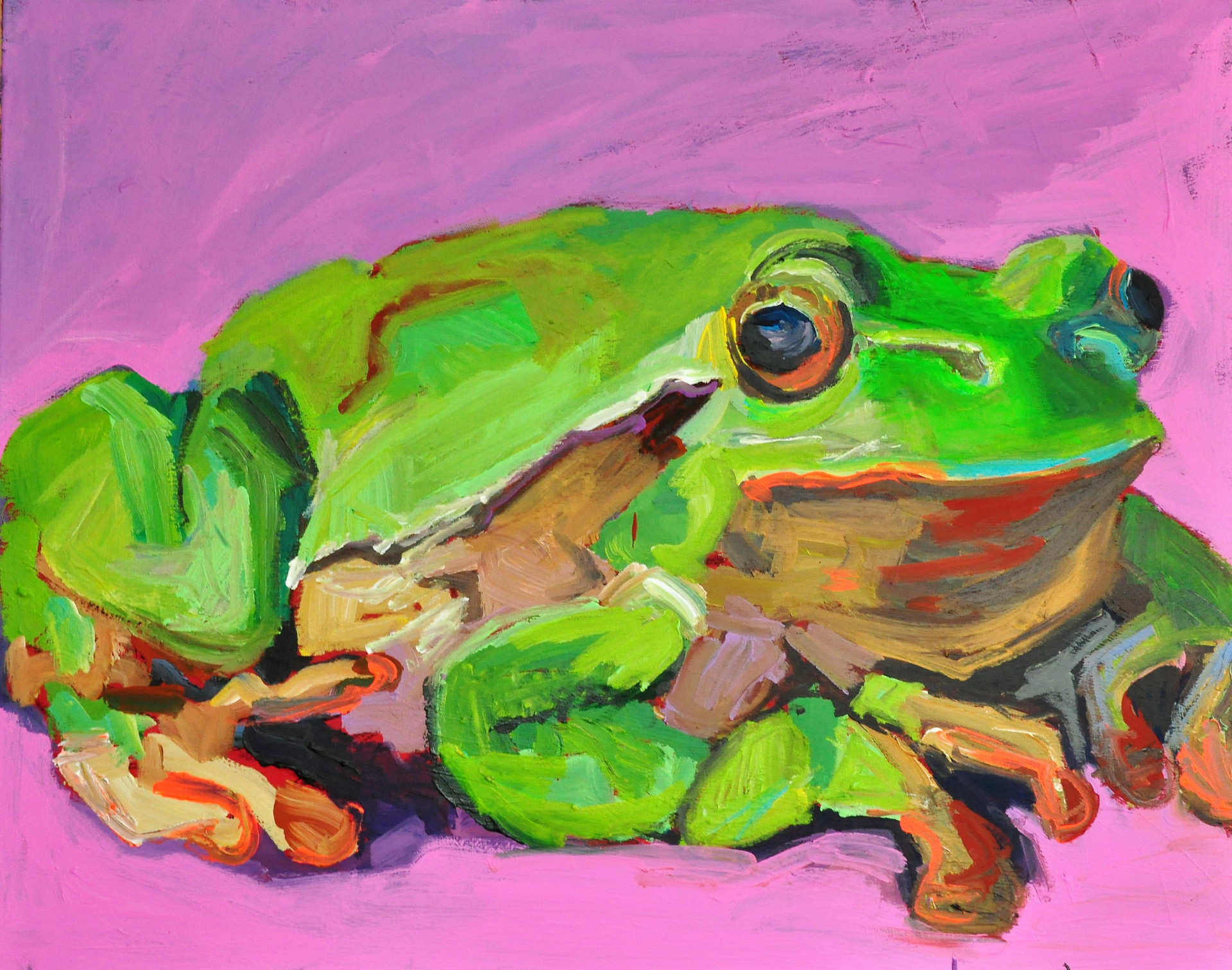 Frosch vor dem Absprung